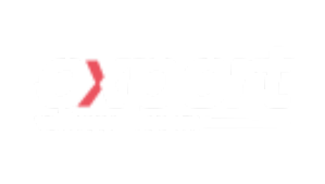 Bar Security Expert Witness other brand (4)